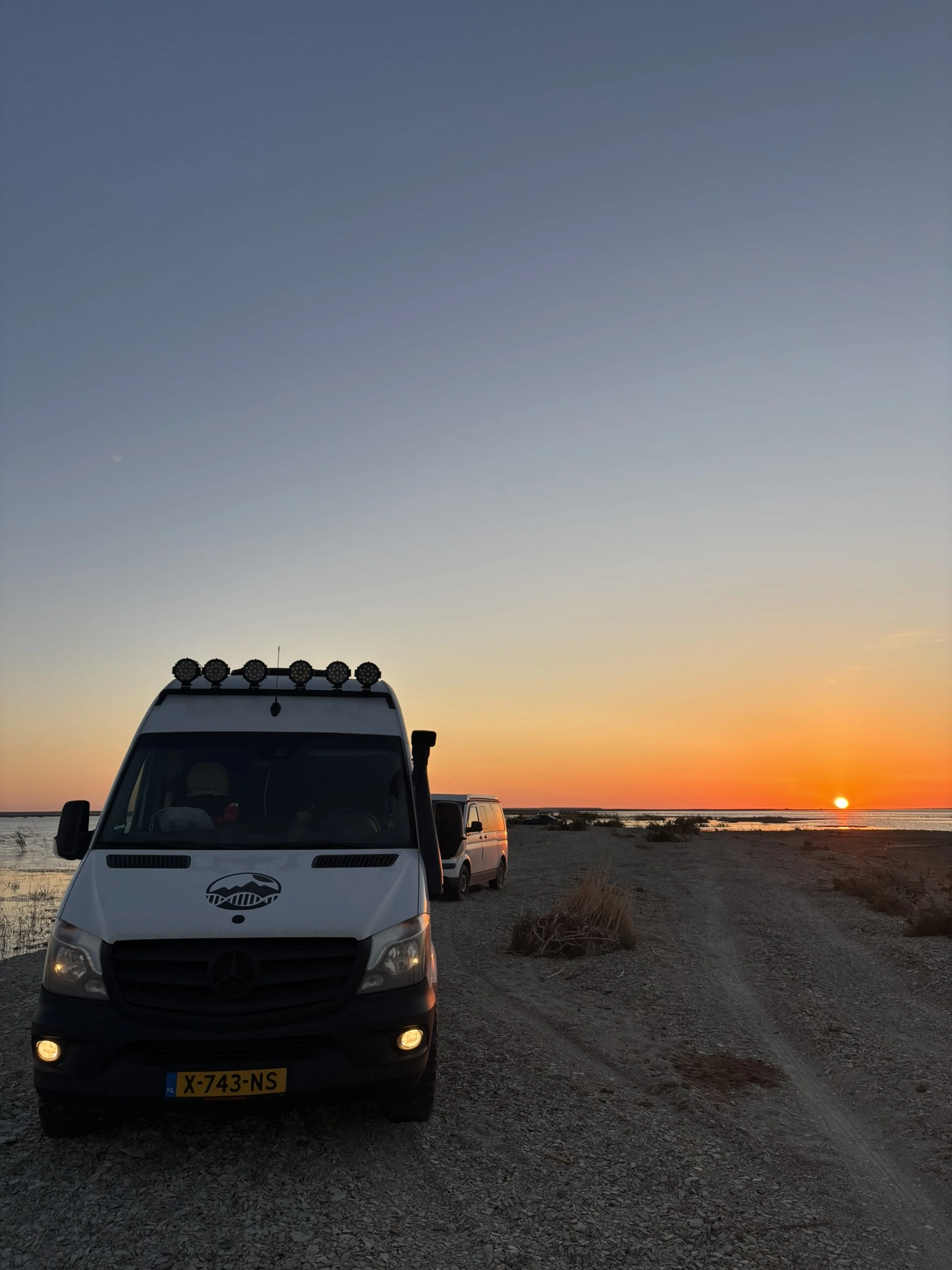 Wildkamperen Steppe Kazachstan