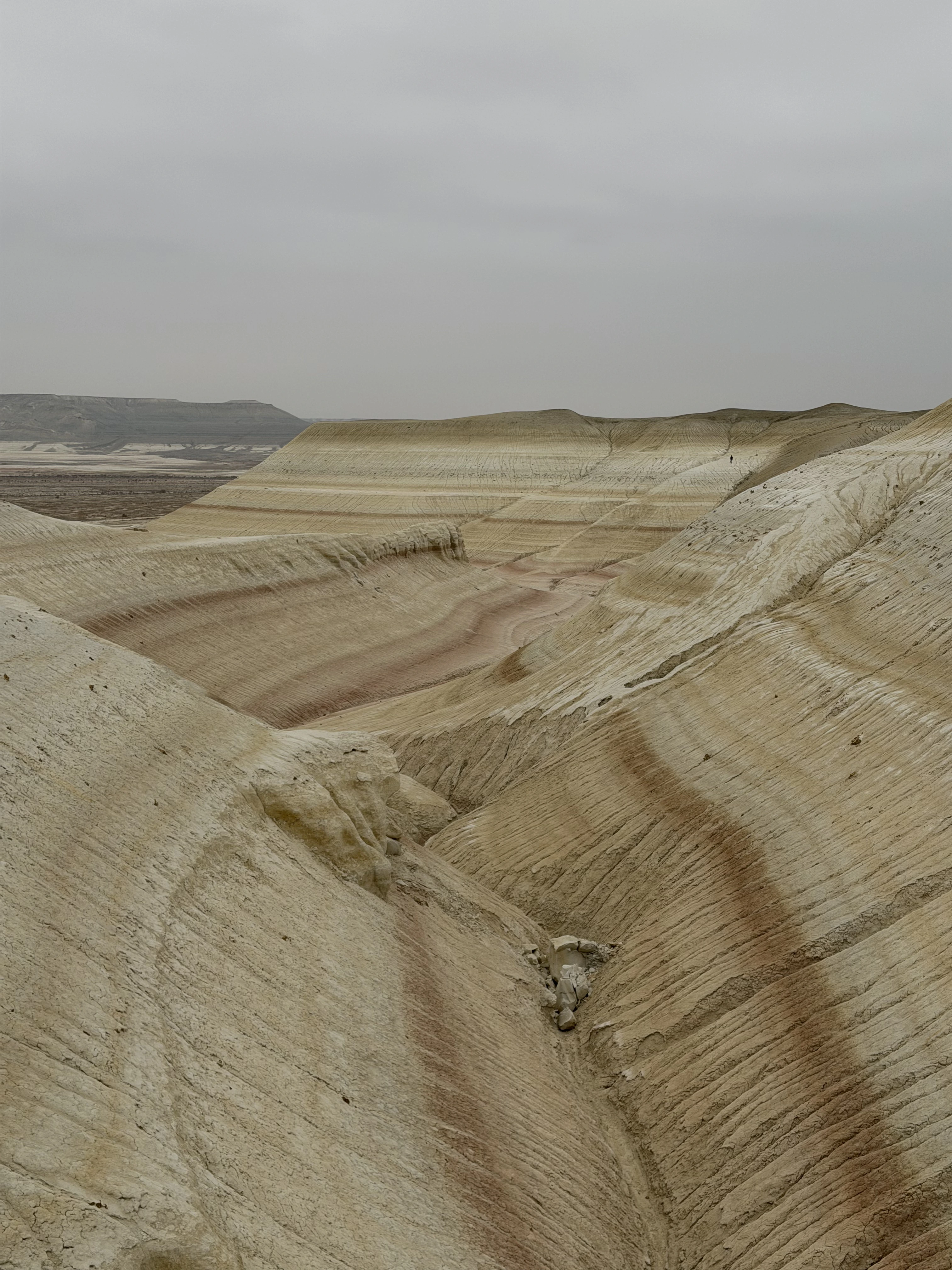 Tiramisu bergen Kyzylkup