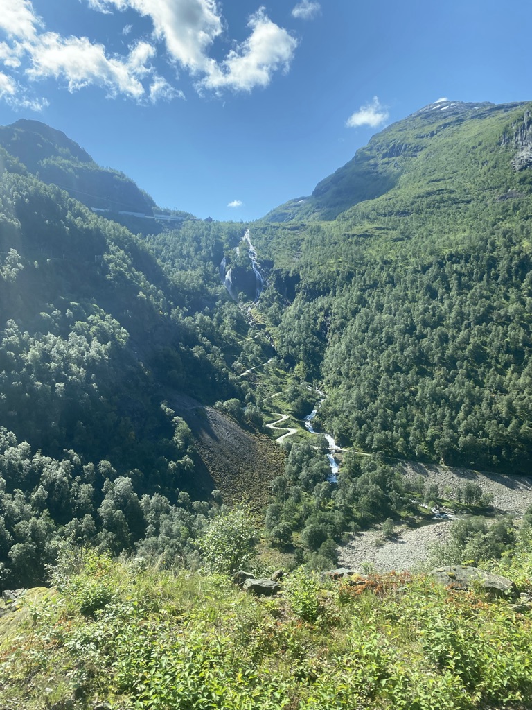 Uitzicht vanuit trein Flamsbana