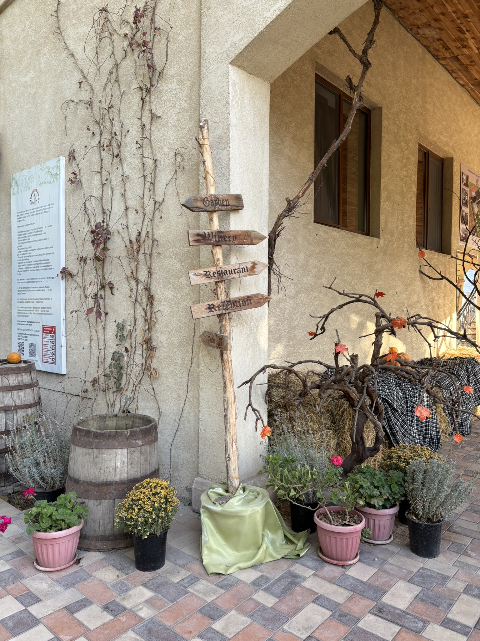 Uzumfermer Tashkent Oezbekistan