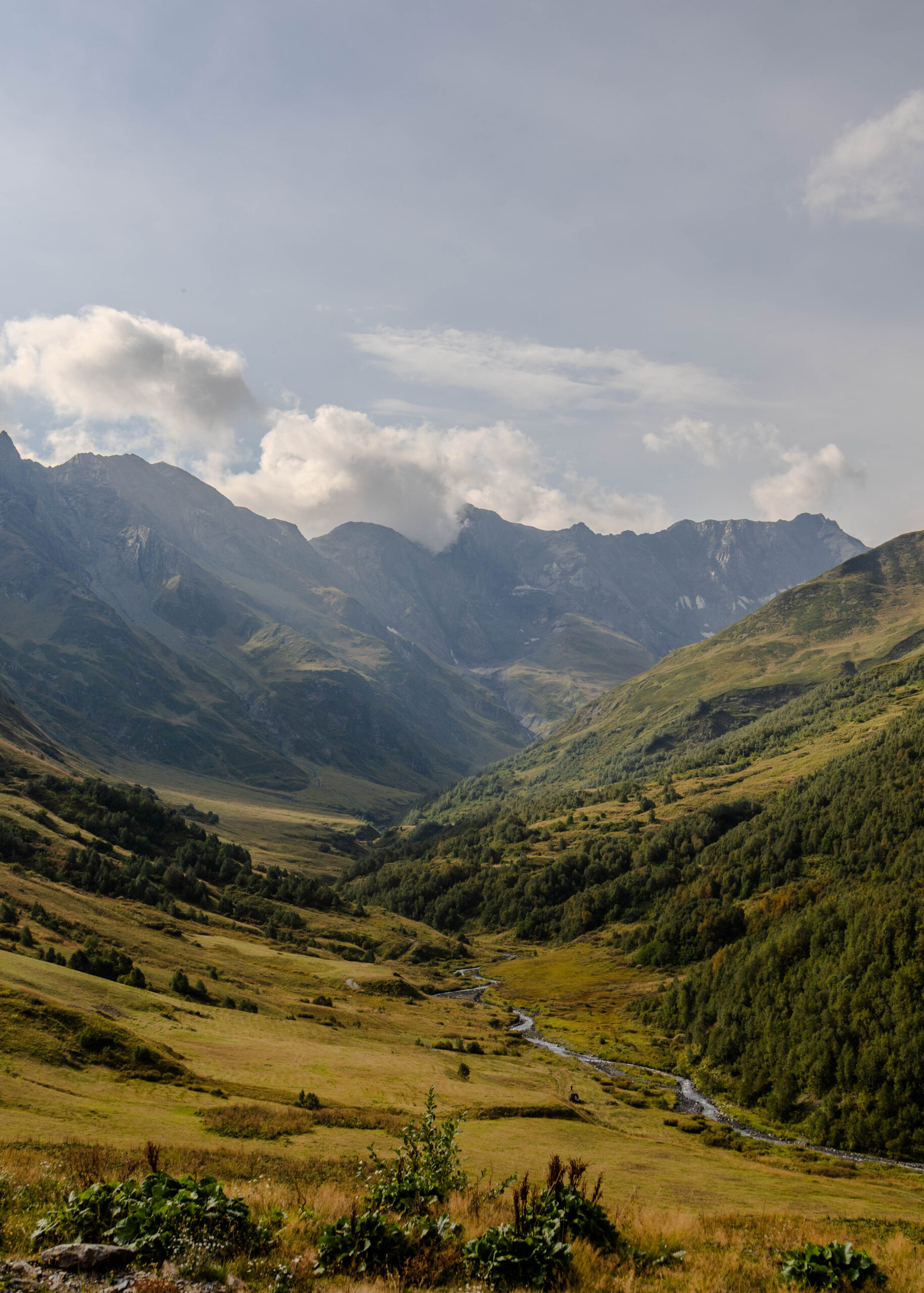 Natuurgebied Svaneti gebergte in Georgië